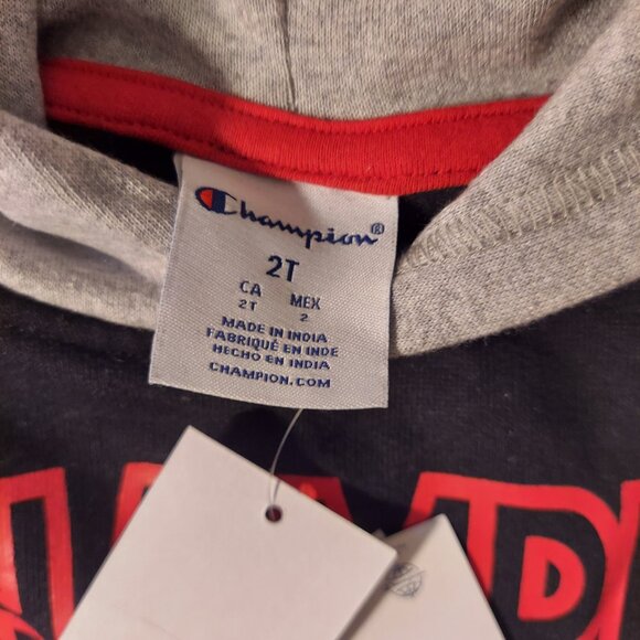 NWT Champion Toddler Boys 2-Piece Hoodie & Jogger Set Size 2T — Red, Black, Gray - Picture 7 of 8
